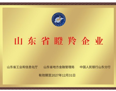 山東省瞪羚企業(yè)